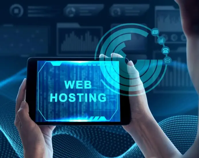 Hosting & Website Management​